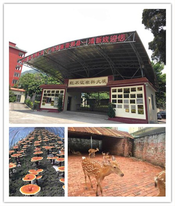 輕觸開關，輕觸開關廠家
